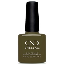 Shellac - Cap & Gown